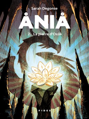 cover image of Åniå T.2